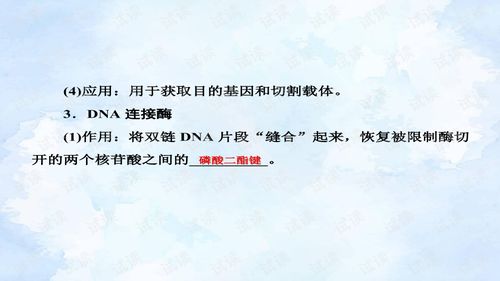 基因工程與網(wǎng)絡(luò)資源 高考復(fù)習(xí)與計(jì)算機(jī)網(wǎng)絡(luò)工程的交集